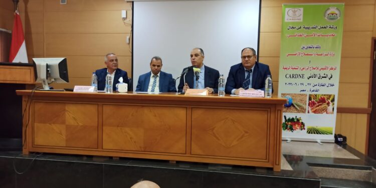 الأمن الغذائي