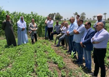 الابتكار الزراعي