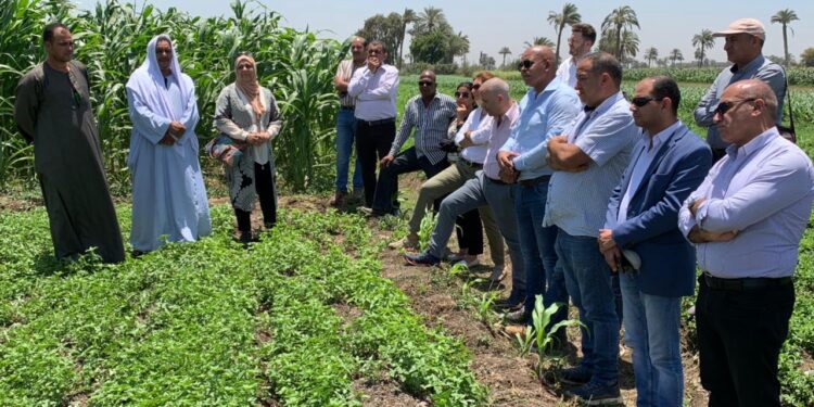 "الزراعة" و"الألمانية للتعاون الدولي" يتابعان أنشطة مشروع الابتكار الزراعي في بني سويف 1 الابتكار الزراعي