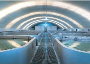 الاستزراع السمكي