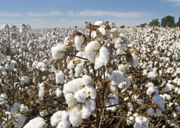 التغيرات المناخية