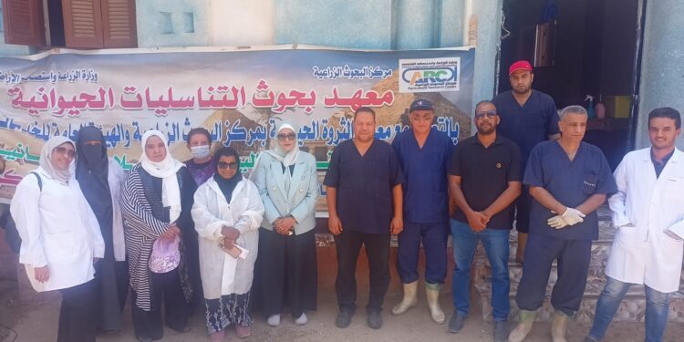 التناسليات الحيوانية يختتم أعمال القافلة البيطرية لمحافظة أسوان 1 التناسليات الحيوانية