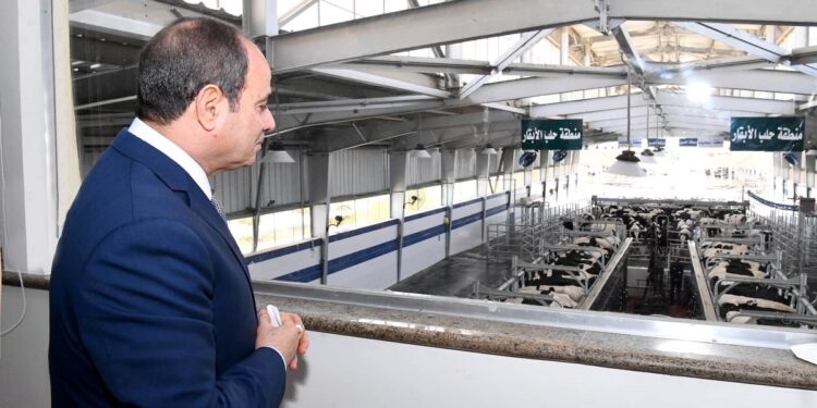 الاكتفاء الذاتي.. "القرش" يوضح موقف المحاصيل الزراعية والإنتاج الحيواني والداجني 1 الاكتفاء الذاتي