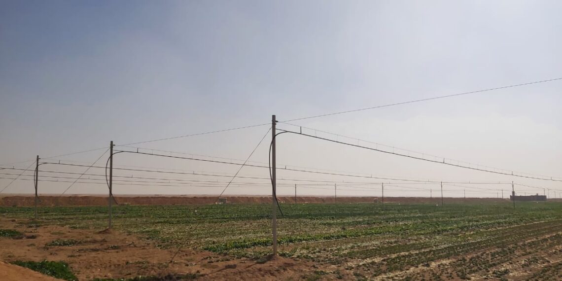 الري الحديث