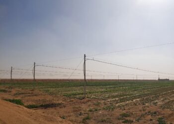 الري الحديث