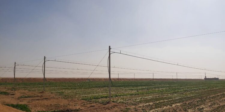 الري الحديث ودوره في زيادة الإنتاج الزراعي 1 الري الحديث