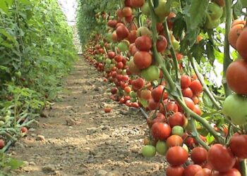 التغيرات المناخية