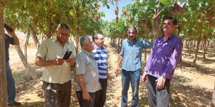 تطوير الري في جولة تفقدية لوكيل زراعة الشرقية 1 تطوير الري