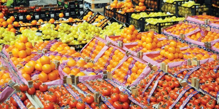 الصادرات الزراعية.. تعرف على أهم المنتجات المصدرة خلال عام 2022 1 الصادرات الزراعية