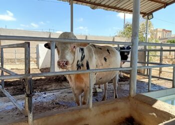 الطب الوقائي