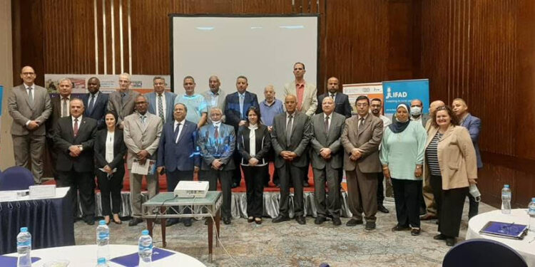 الفاو وإيفاد يطلقان مشروعًا جديدًا حول إنتاجية المياه الزراعية المراعية للتغذية في مصر 1 الفاو