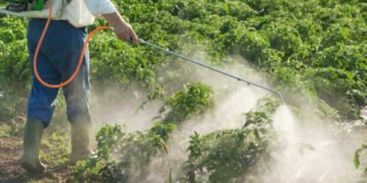 المبيدات.. "ياسين" يوضح خطة الزراعة لخفض استخدامها وخطورة الغش 1 المبيدات
