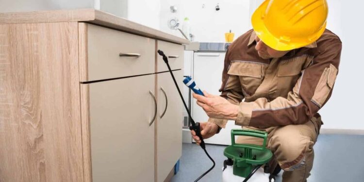 المبيدات المنزلية .."ياسين" يوضح تأثيرها على الحوامل والأطفال 1 المبيدات المنزلية