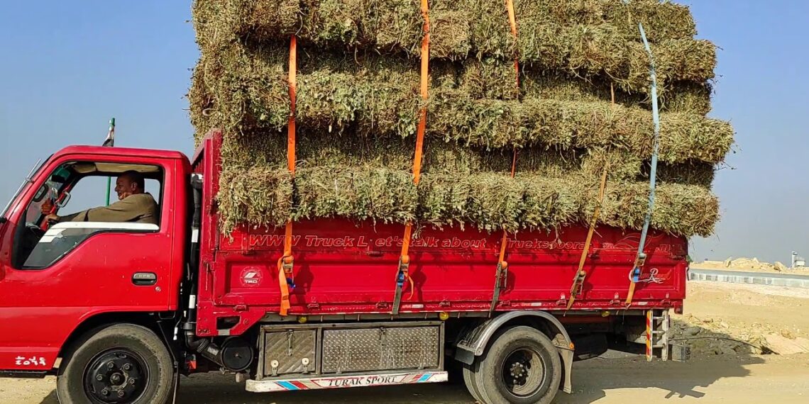 بدائل خامات الاعلاف