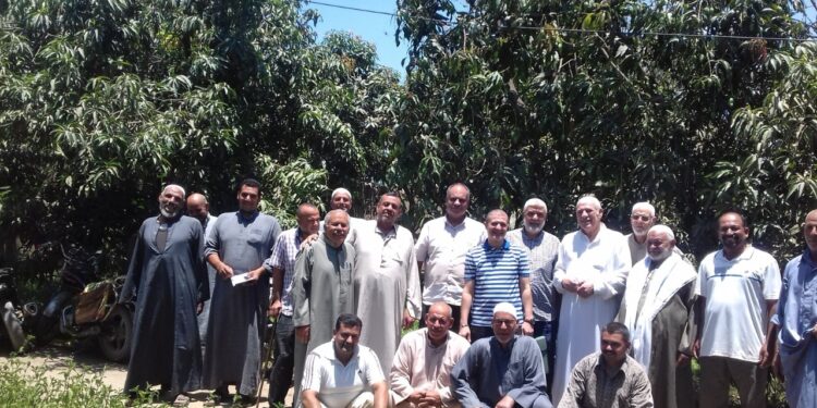 محصول المانجو .. ندوة إرشادية بالتعاون بين زراعة الشرقية ومركزية البساتين 1 محصول المانجو