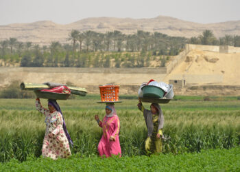 تمكين المرأة الريفية