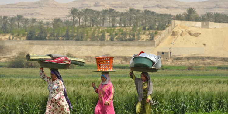 تمكين المرأة الريفية.. "فهيم": تسويق الإنجازات ورفع وعي المواطنين "واجب وطني" 1 تمكين المرأة الريفية