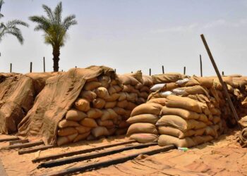 توريد القمح