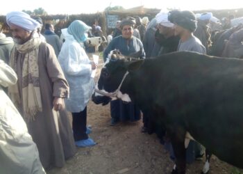 حملات التقصي عن الأمراض