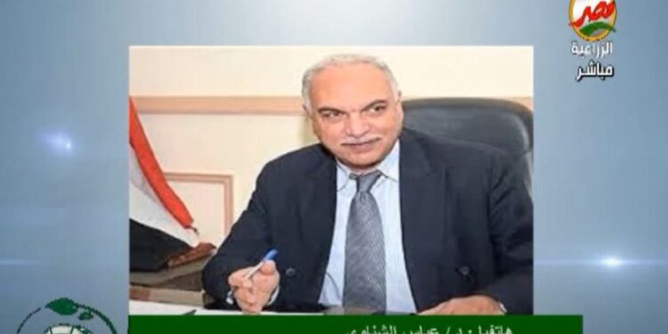 رئيس قطاع الخدمات: توريد 3.5 مليون طن من القمح المحلي حتى الآن 1 القمح