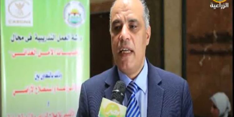 د. علاء عزوز: تحقيق الأمن الغذائي أهم التحديات التي تواجه الدول 1 تحقيق الأمن الغذائي