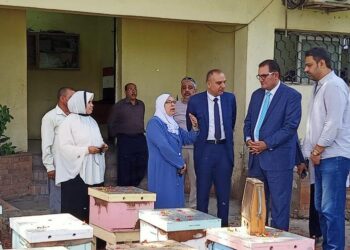 الحرير الطبيعي