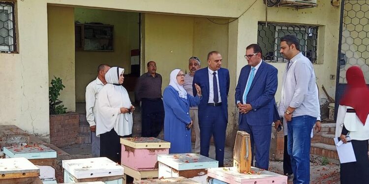 الحرير الطبيعي.. مستشار وزير الزراعة يتابع عمليات توطين الصناعة بالمحافظات 1 الحرير الطبيعي