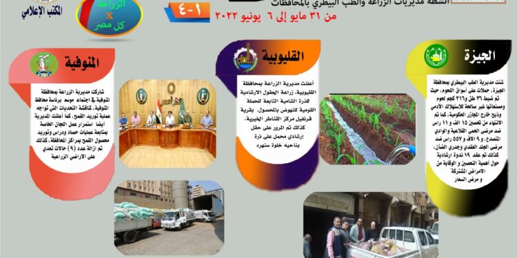 مركز المعلومات الصوتية يصدر نشرته الـ 44 عن أنشطة المديريات 1 مركز المعلومات الصوتية