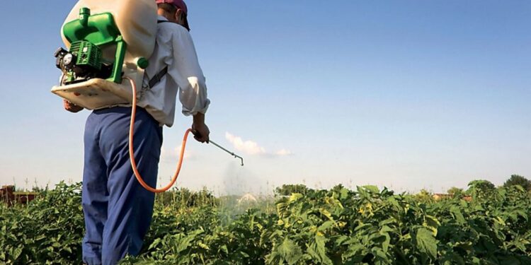 مكافحة الآفات واشتراطات الاستخدام الأمثل للمبيدات 1 مكافحة الآفات