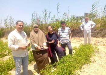 البرنامج الوطني للخضر