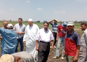 معهد الإرشاد الزراعي