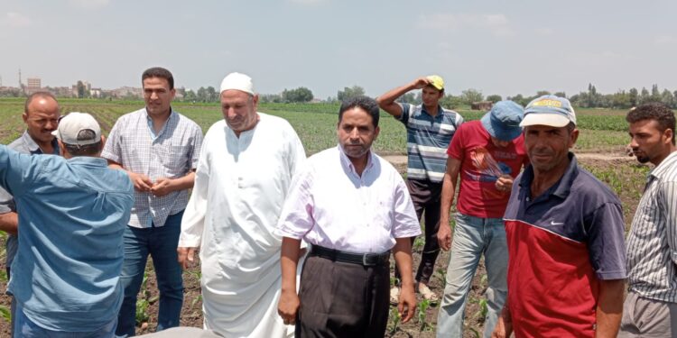 معهد الإرشاد الزراعي يُنفذ 15 ندوة إرشادية في 11 محافظة 1 معهد الإرشاد الزراعي