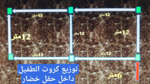طفيل الترايكوجراما ..مميزات استخدامه في مكافحة الآفات في عدد من المحاصيل 12 طفيل الترايكوجراما