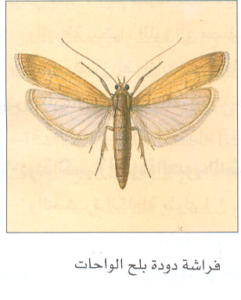 ققققققققققق