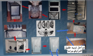 لالالالالالالالالالالالالالالالالالالا