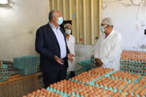 وزير الزراعة يتفقد مشروع إنتاج الدجاج البياض بالعامرية 13 الدجاج البياض
