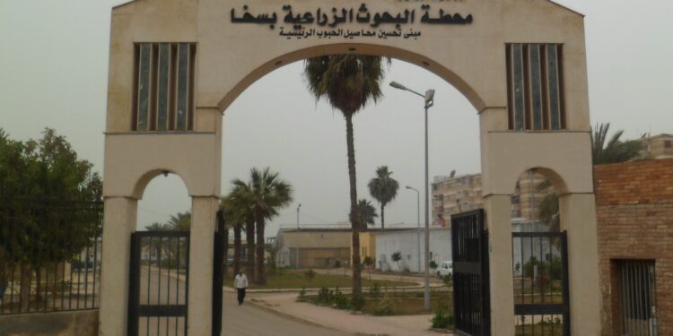 يومين علميين بحضور الدكتور أمير محمد بمحطة بحوث سخا 1 سخا