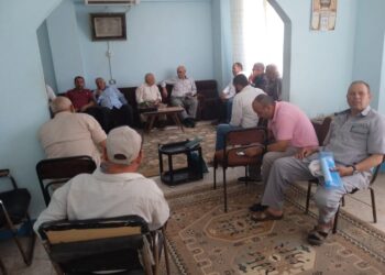 الذرة الشامية