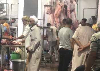 الزراعة: 100 ألف زائر لحديقة الحيوان.. وذبح 19 ألف رأس بالمجازر