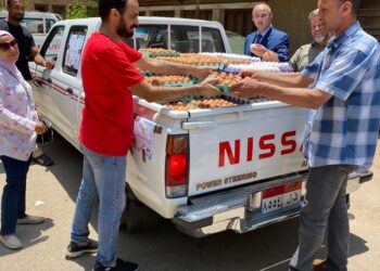 سعر كرتونة البيض.. الزراعة تطرحها في منافذها بسعر 58 جنيه