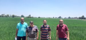 زراعة الشرقية 