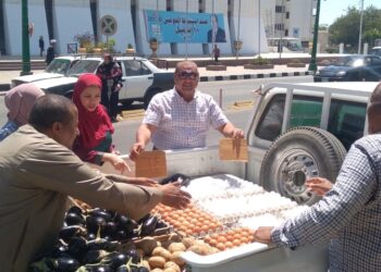 أسعار بيض المائدة