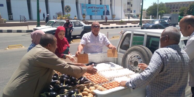 سعر كرتونة البيض ..الزراعة تطرحها بـ 62 جنيه للمواطنين 1 أسعار بيض المائدة