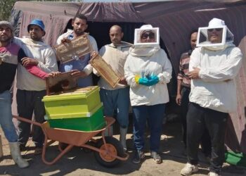صناعة النحل .. زراعة الفيوم تطلق مبادرة لتطويرها بالمحافظة