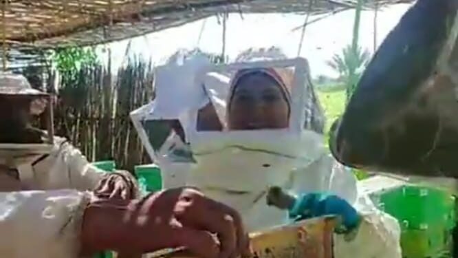 مربي النحل .. "بحيري" يطالب بإعداد قاعدة بيانات لهذا القطاع 1 مربي النحل