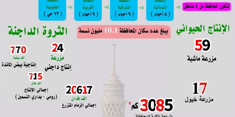بمناسبة احتفالاتها بالعيد القومي.."القاهرة".. الإنتاج الزراعي فى جوهرة الشرق 1 القاهرة