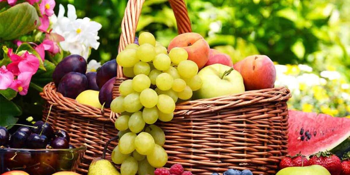 أسعار الفاكهة 5 سبتمبر 2022 داخل أسواق الجملة 1 أسعار الفاكهة 3 أبريل 2024