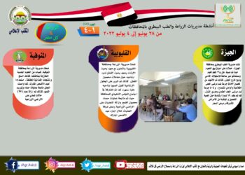 مركز المعلومات الصوتية