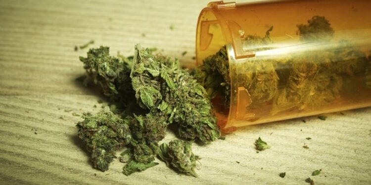 الاستروكس.. "باحث بالقومي للسموم" يقدم مُقترحًا لـ"علاج الثغرات القانونية" 1 الاستروكس