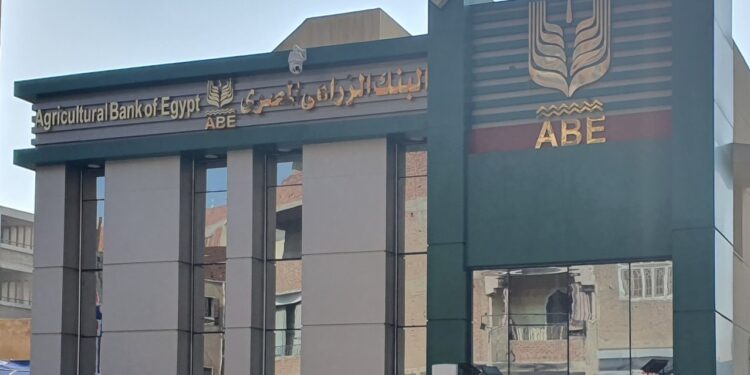محصول الفراولة.. "60 ألف جنيه للفدان" شروط الحصول على دعم البنك الزراعي 1 محصول الفراولة
